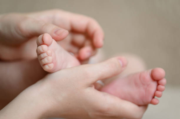 Patting A Gentle Approach to Stress Relief